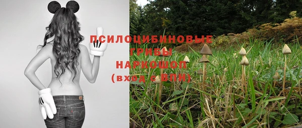 прущие крисы Верхний Тагил