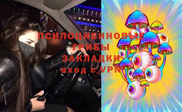 прущие крисы Верхний Тагил