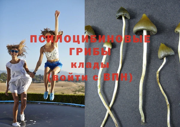 прущие крисы Верхний Тагил